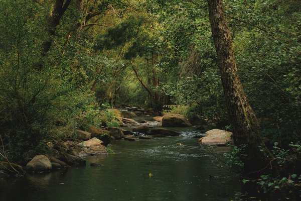 Comment préparer un itinéraire de camping pour découvrir les parcs nationaux en Amérique du Sud?