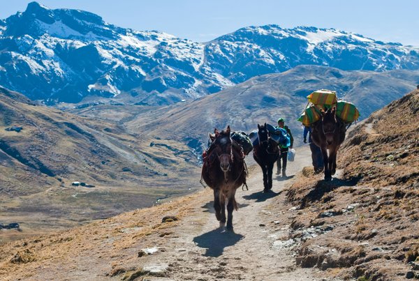 Où trouver les meilleures expériences de randonnée dans les montagnes de la Cordillère des Andes en Colombie?